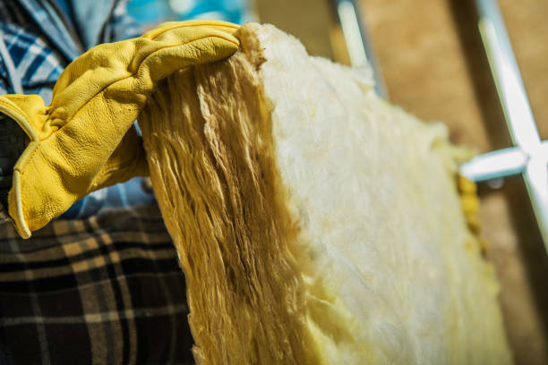Best Eco-Friendly Insulation in Maxton, NC
