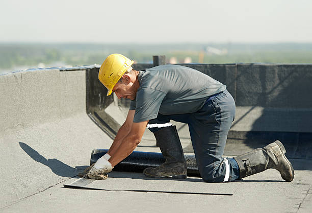 Best Cellulose Insulation in Maxton, NC